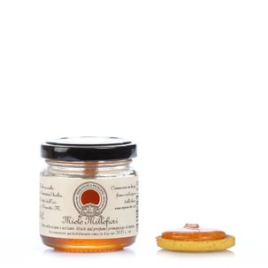 Miel mille fleurs 100 g