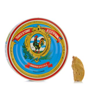 Tonno Riserva Speciale 523g