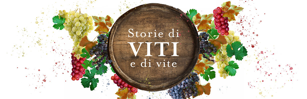 Il vino