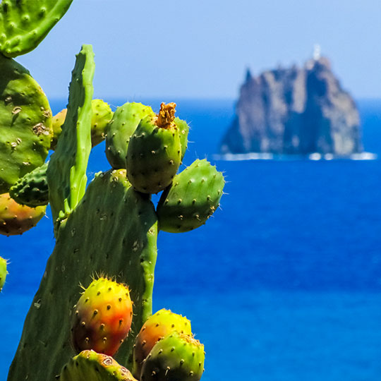 I sapori del sud Italia